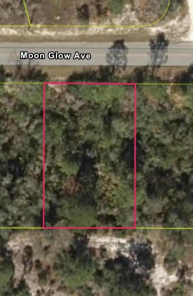 309 Moon Glow Avenue, Lake Placid, FL 33852 - #1