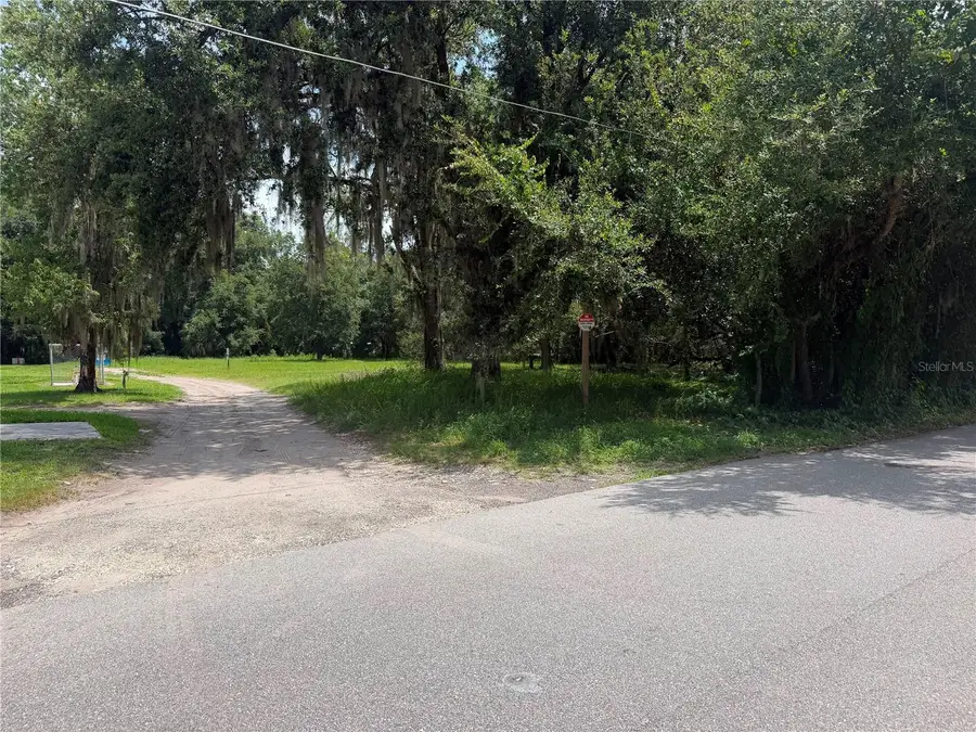 Helen Avenue, Kissimmee, FL 34746 - #2