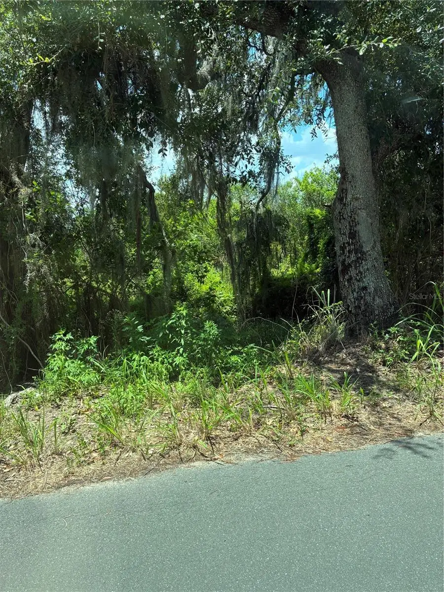 Seaman Avenue, Saint Cloud, FL 34772 - #3