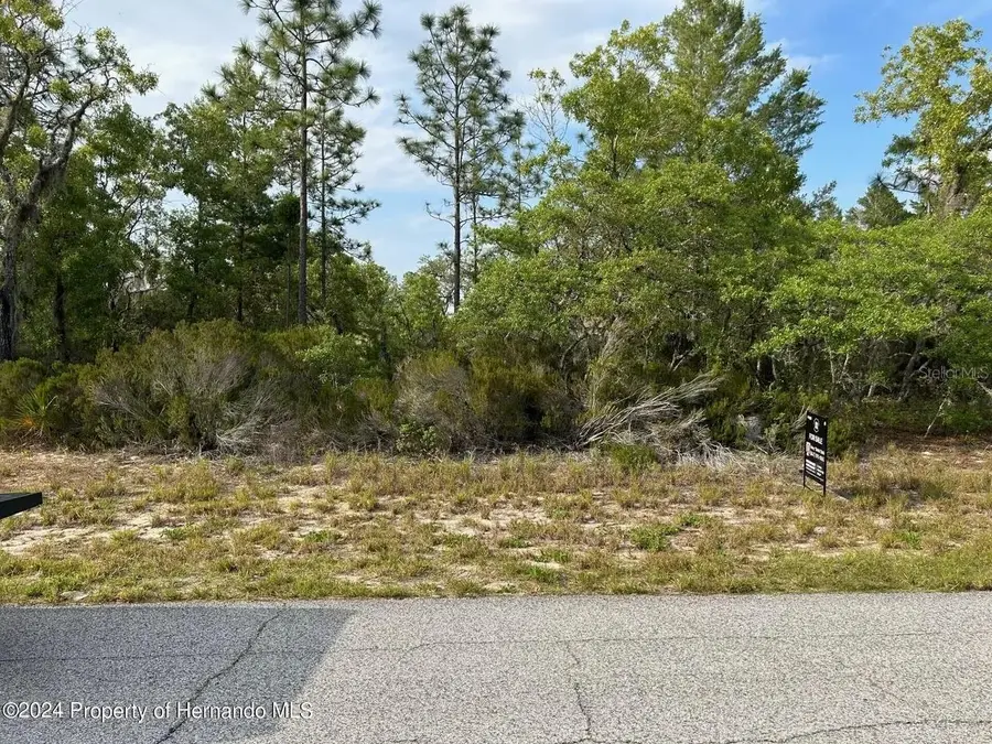 2923 W Pintado Drive, Citrus Springs, FL 34433 - #2