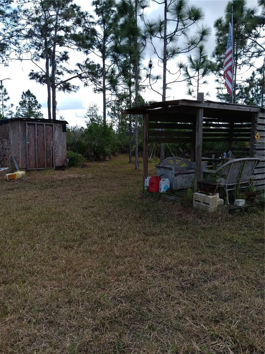 Holopaw Groves Road, Saint Cloud, FL 34771 - #3