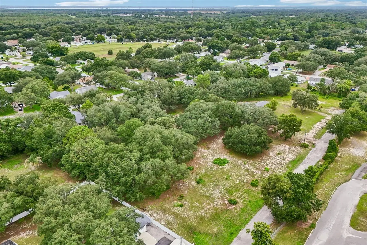 34151 Jaykins Court, Leesburg, FL 34788 - #1