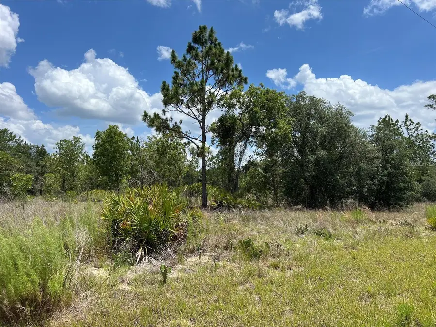 3309 W Hampshire Boulevard, Citrus Springs, FL 34433 - #3