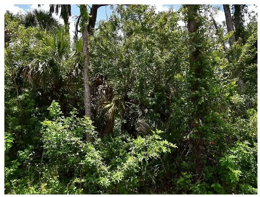 Numera Avenue, North Port, FL 34288 - #1