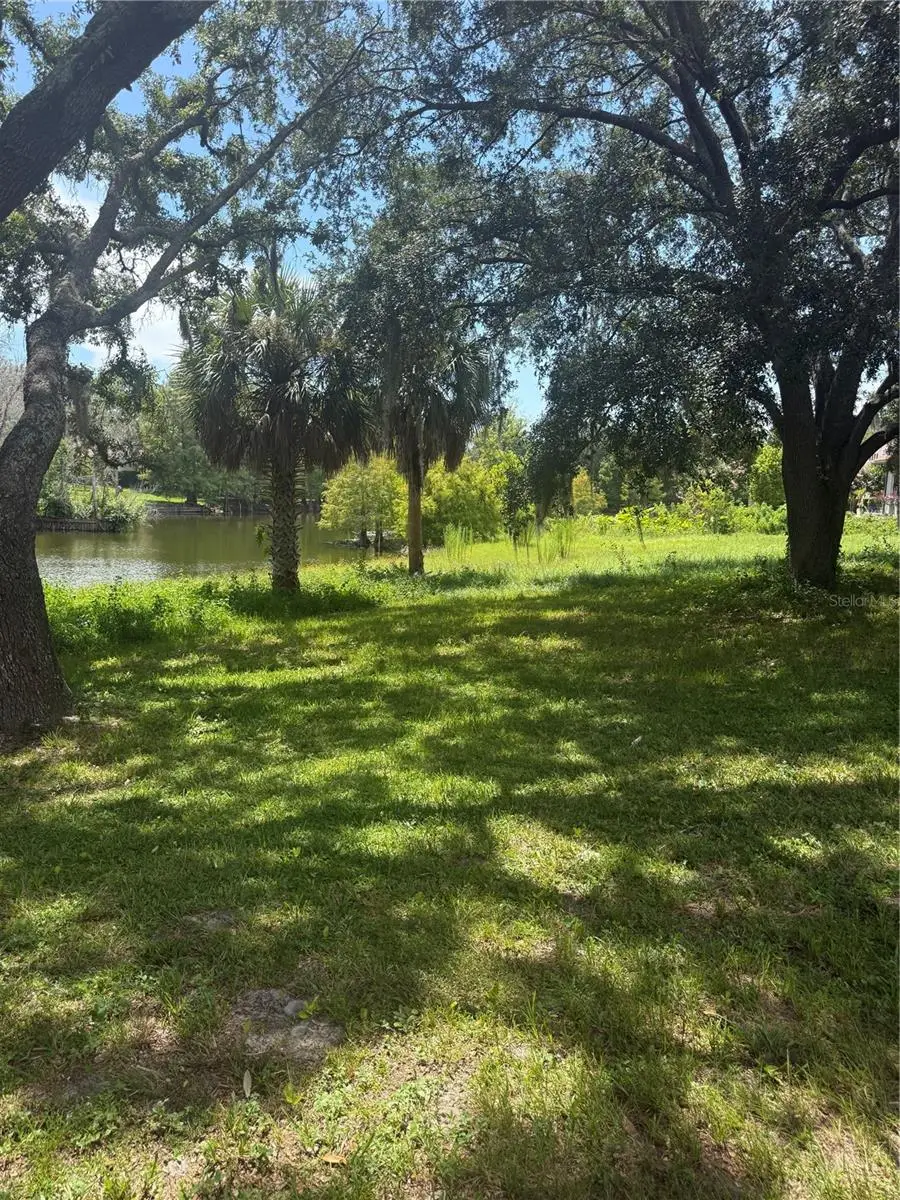 Park Ridge Gotha Road, Windermere, FL 34786 - #3