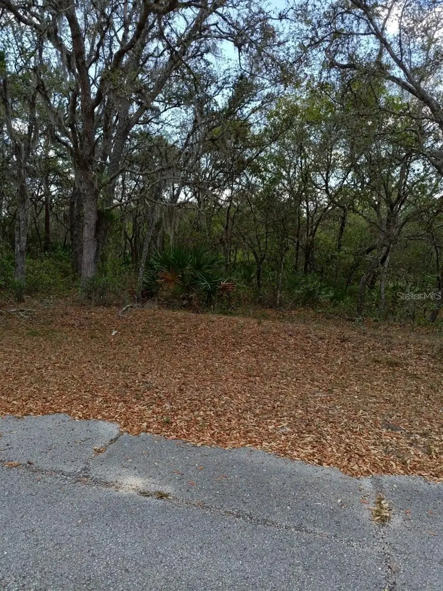 429 Naples Court, Poinciana, FL 34759 - #2