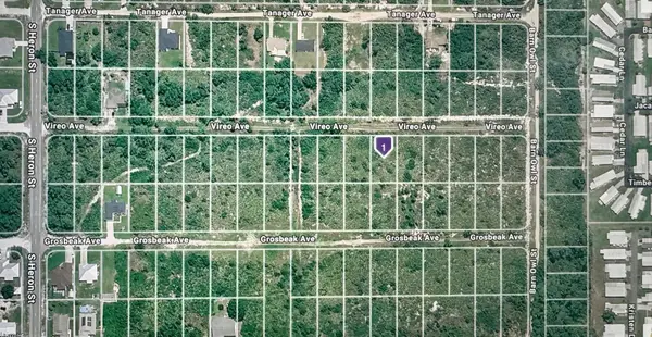 222 Vireo Avenue, SEBRING, FL 33870