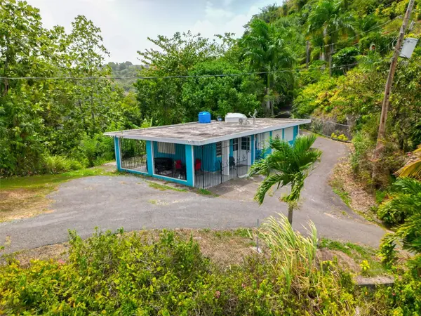 Address Withheld By Seller, CIALES, PR 00638
