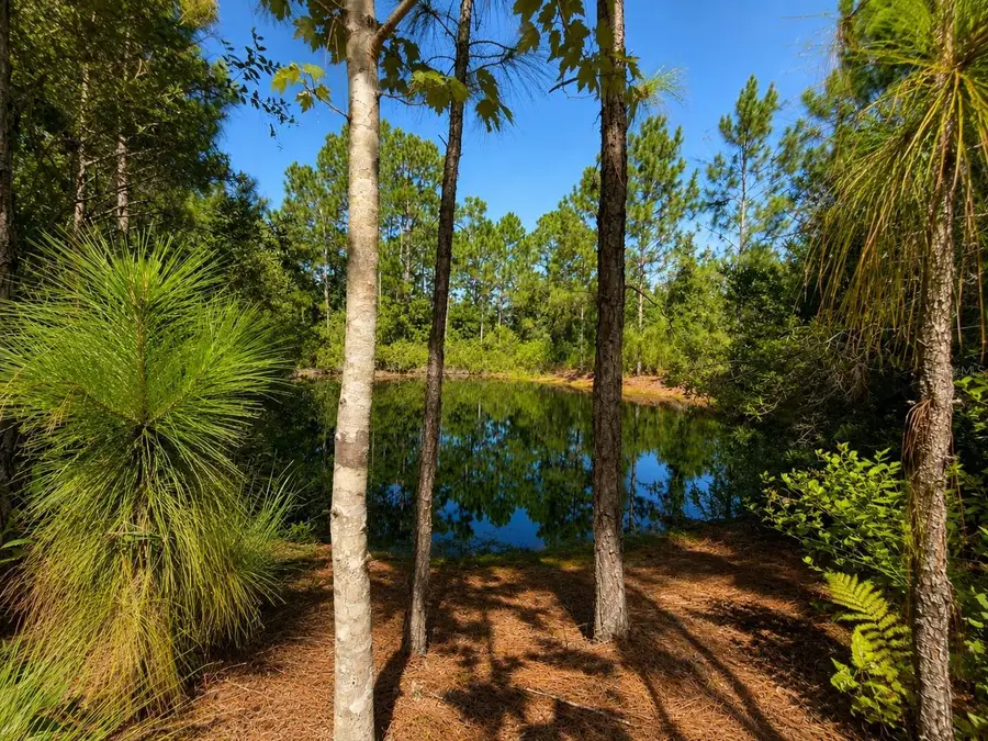5350 Osceola Drive, Saint Cloud, FL 34773 - #3