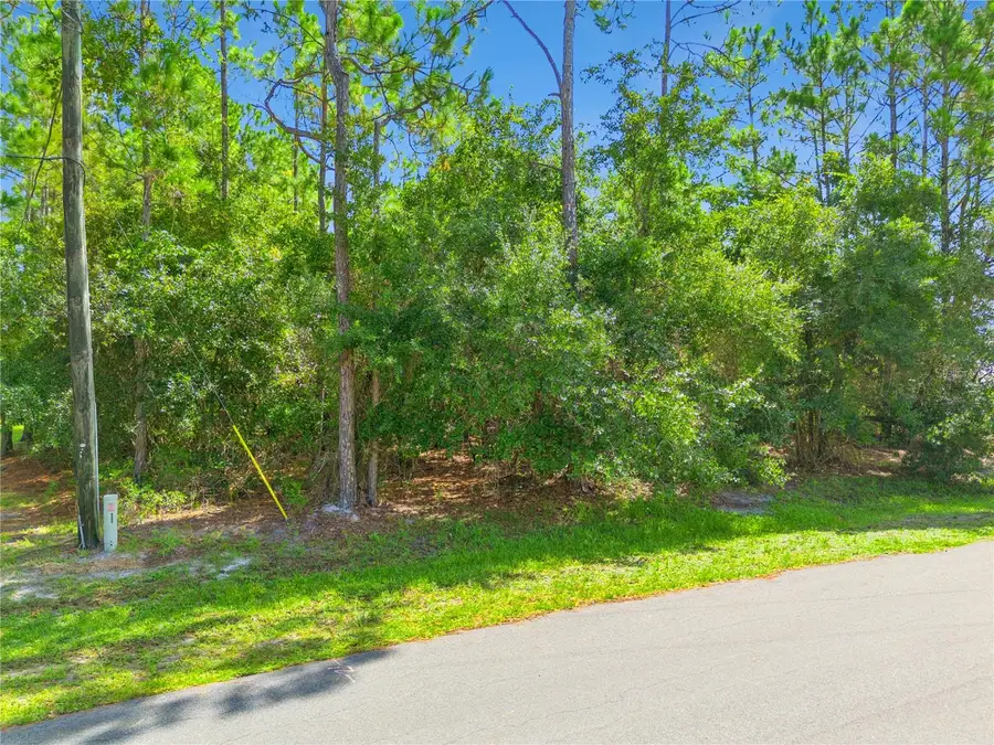 Mustang, Saint Cloud, FL 34771 - #2