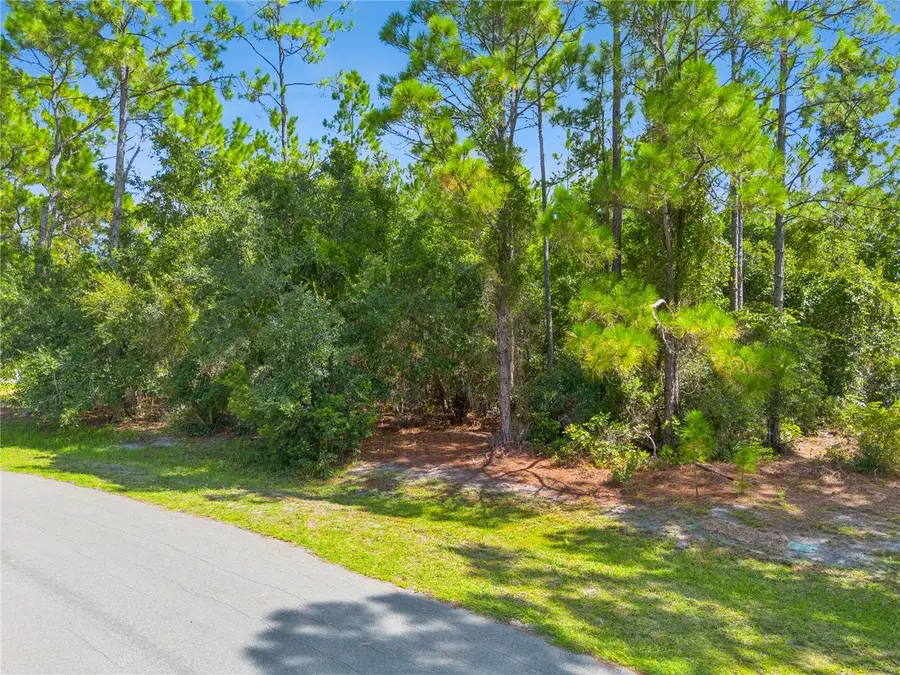 Mustang, Saint Cloud, FL 34771 - #3
