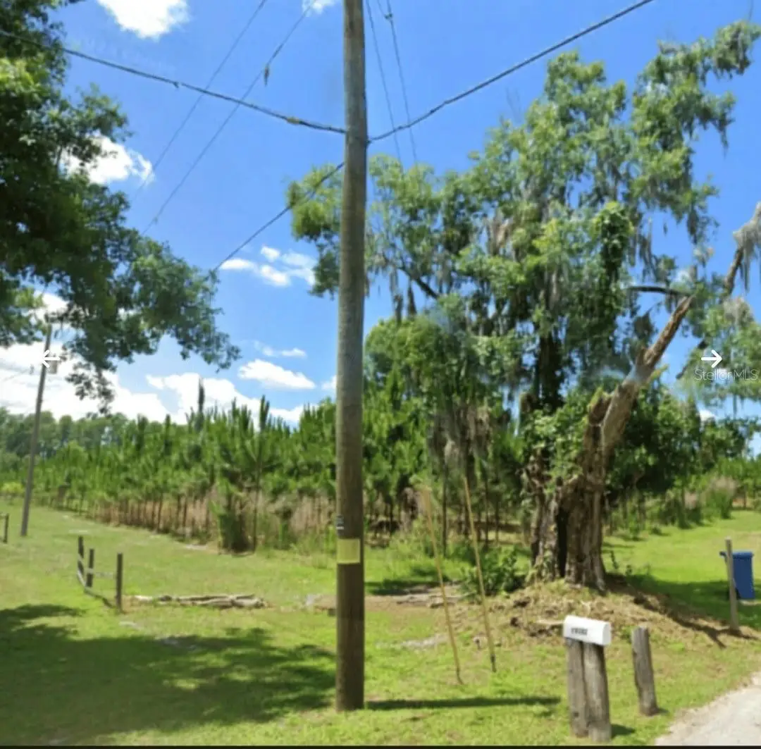 Holly Lane, Lutz, FL 33558 - #1