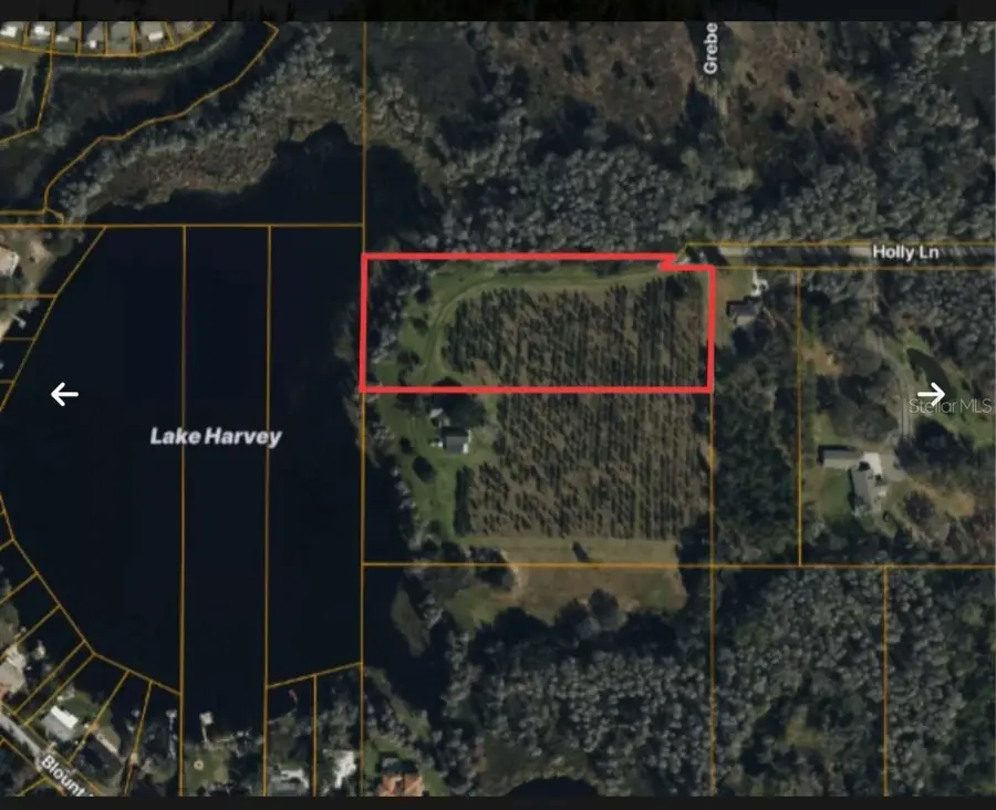 Holly Lane, Lutz, FL 33558 - #2