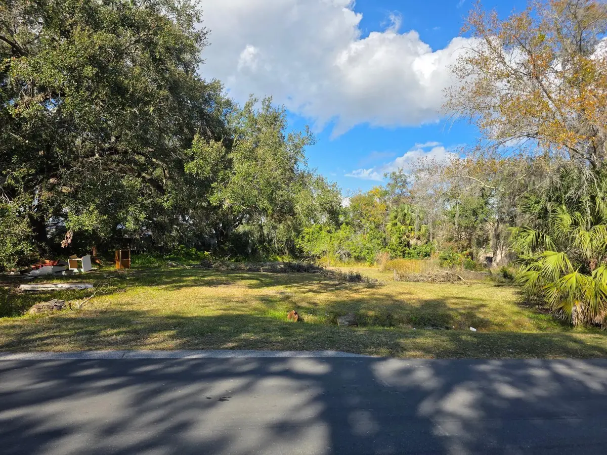 403 Greenup Street, Kissimmee, FL 34744 - #1