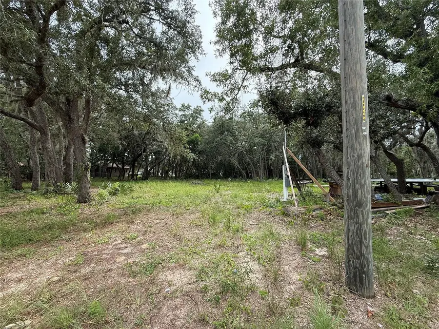 2425 N Charline Road, Avon Park, FL 33825 - #2