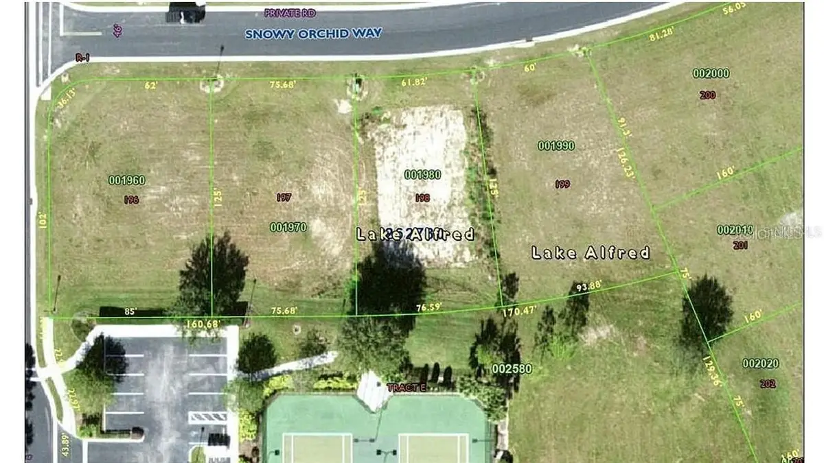 225 N Snowy Orchid Way, Lake Alfred, FL 33850 - #1