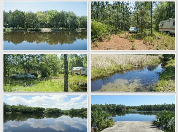 323 Old Bubbly Road, PIERSON, FL 32180