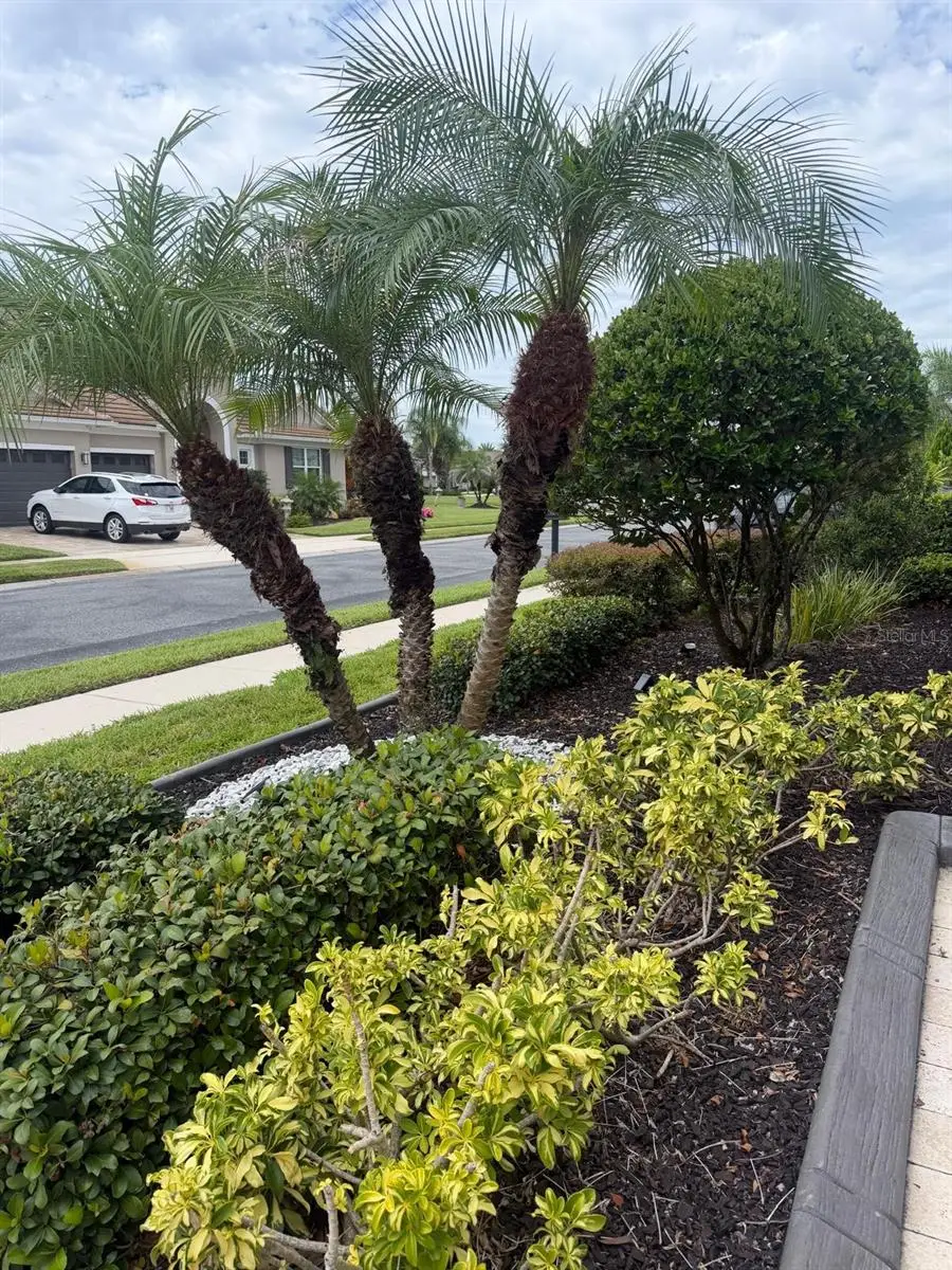 2100 Sherbrook Avenue, Davenport, FL 33837 - #3