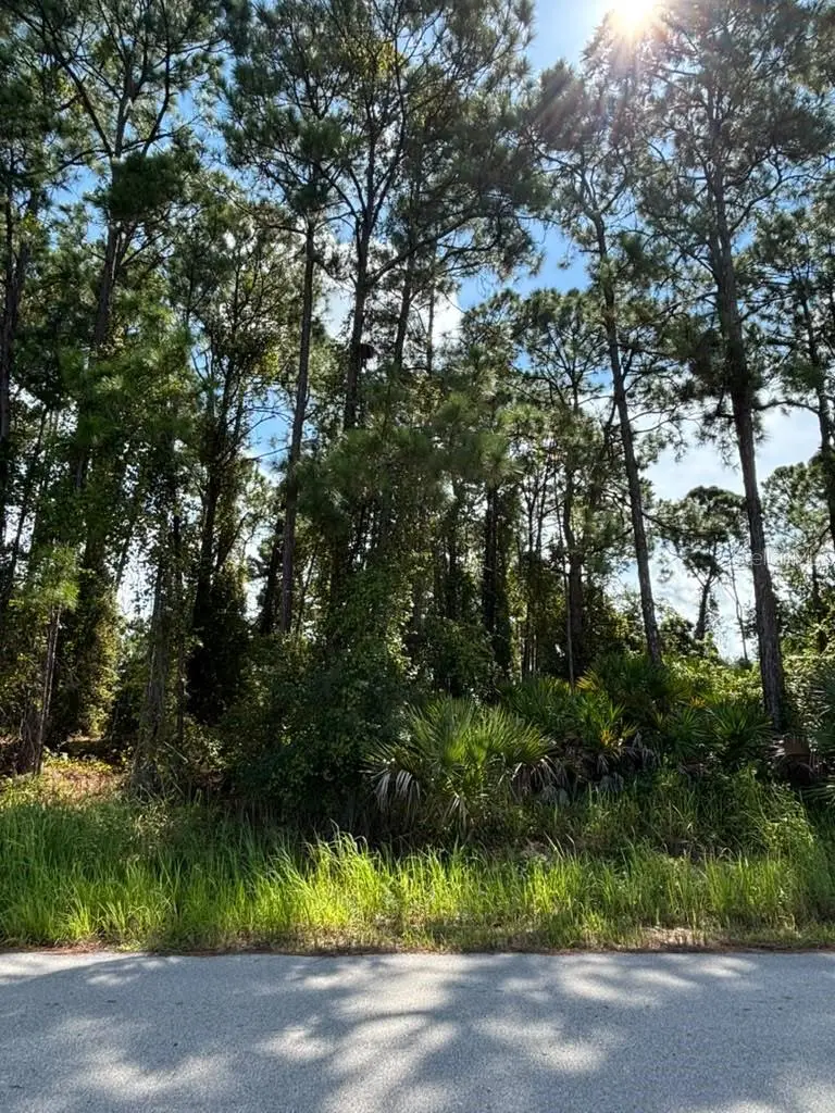 457 Holin Avenue Sw, Palm Bay, FL 32908 - #3