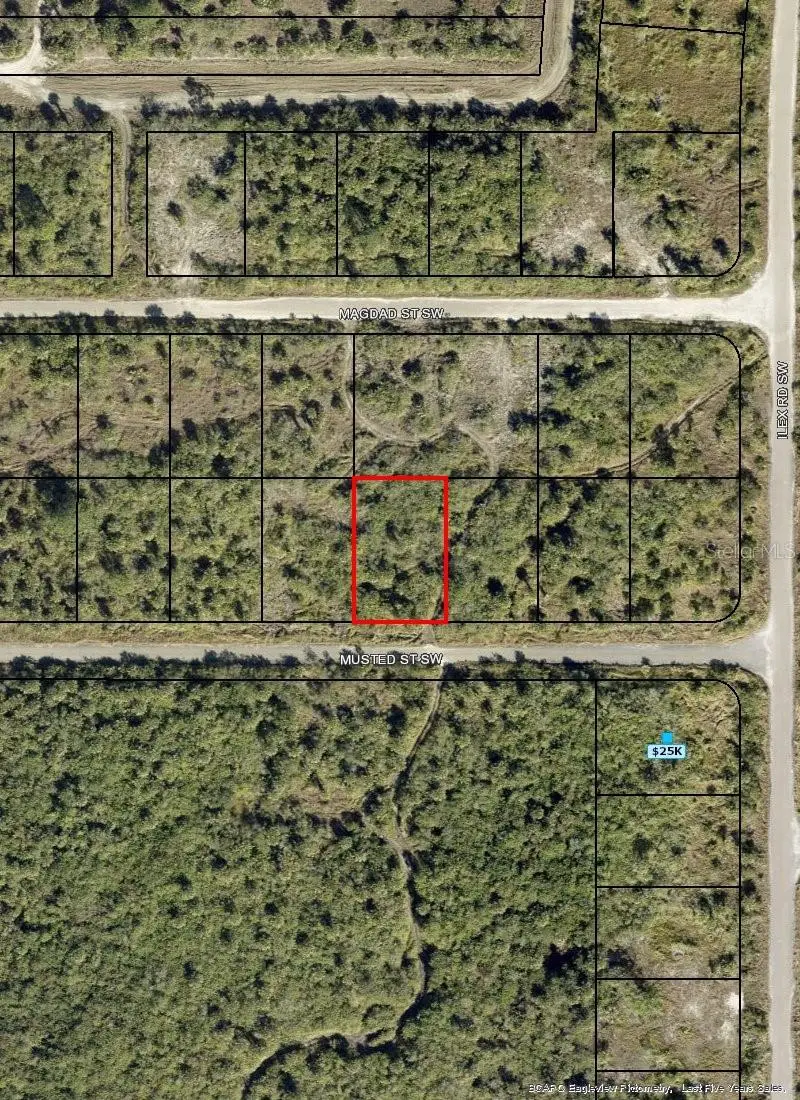 1319 Musted Street Sw, Palm Bay, FL 32908 - #1