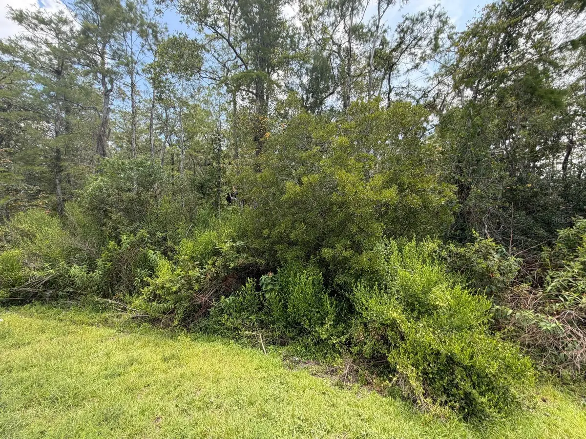 Tunbridge Street, Orlando, FL 32833 - #1