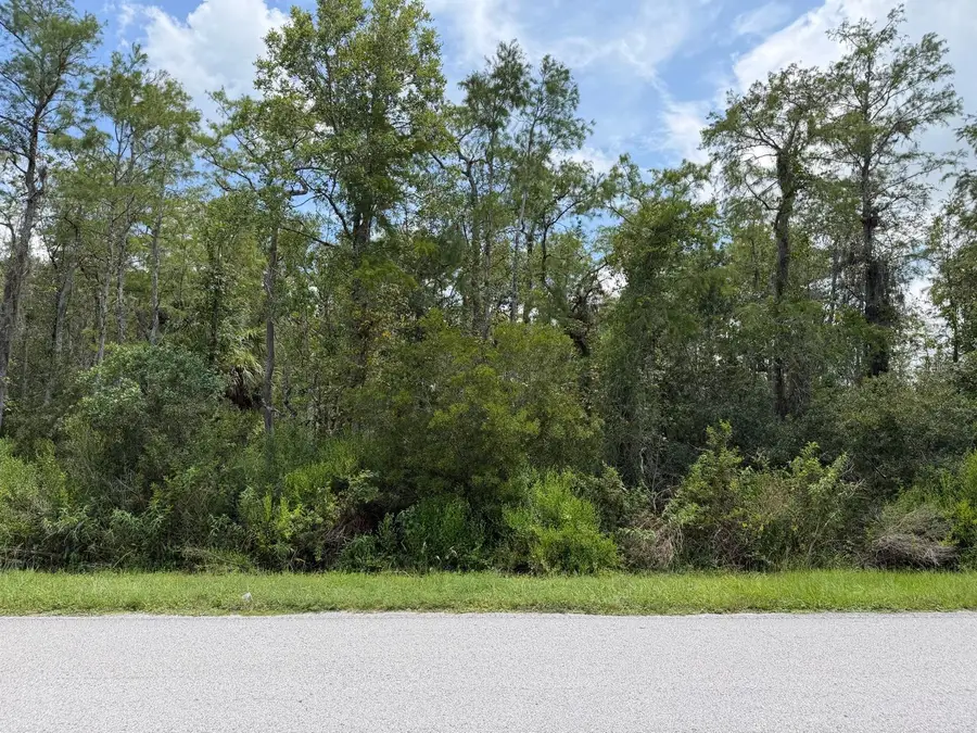 Tunbridge Street, Orlando, FL 32833 - #2