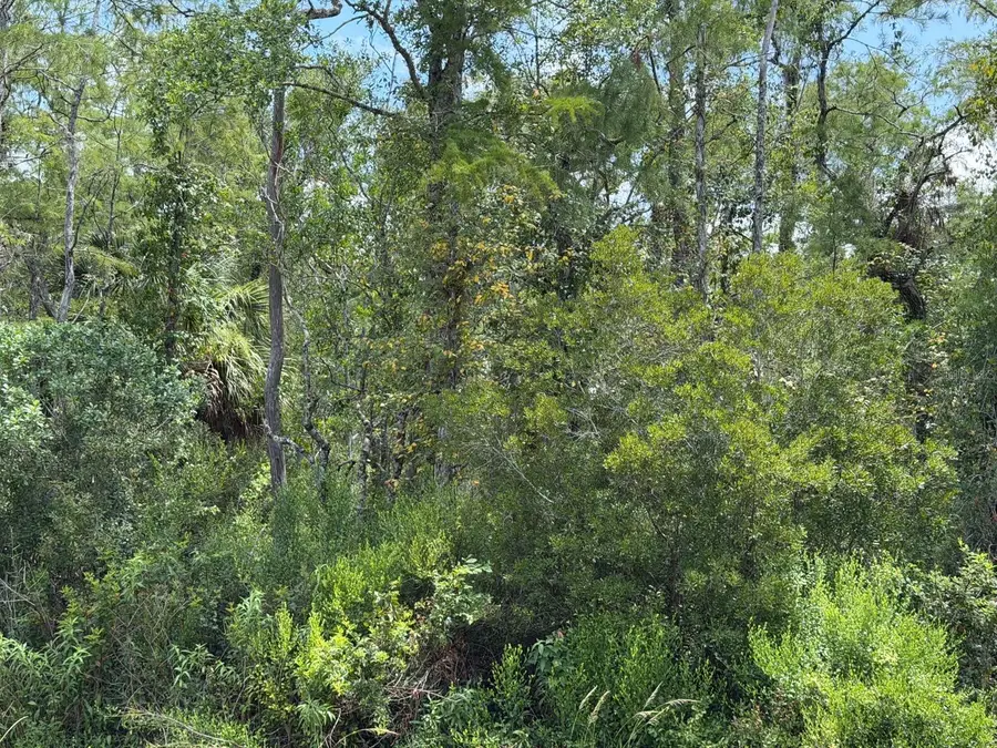 Tunbridge Street, Orlando, FL 32833 - #3