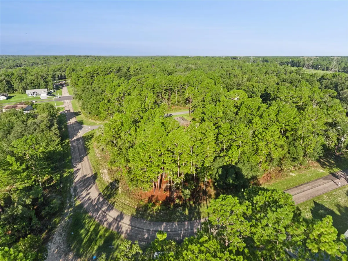 6698 N Foxdale Drive, Citrus Springs, FL 34434 - #1