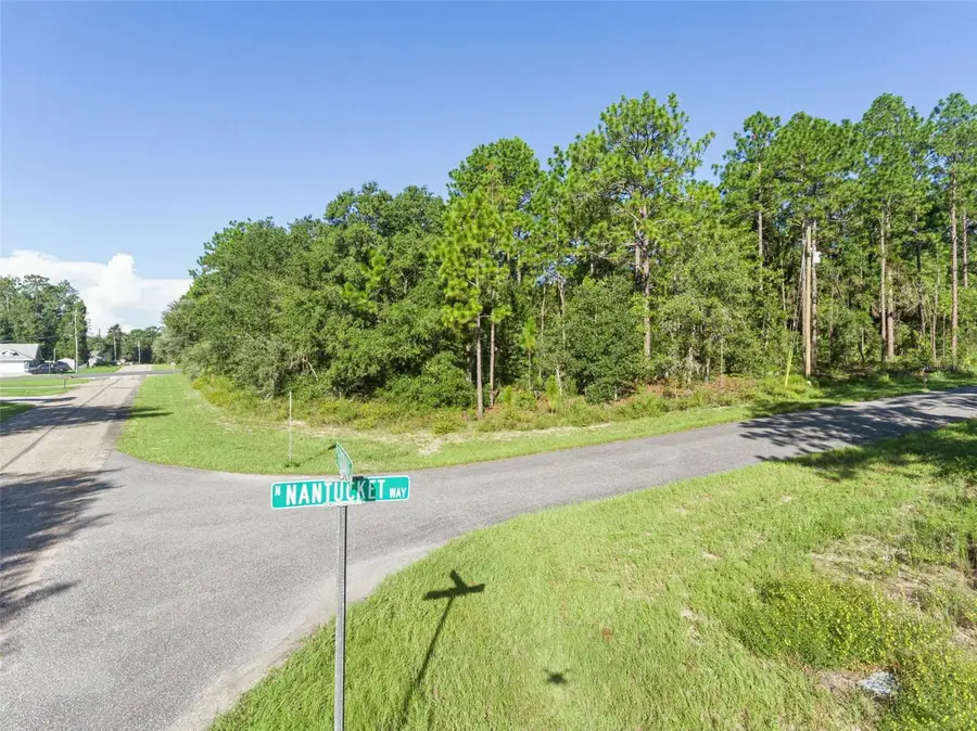 6670 N Nantucket Way, Citrus Springs, FL 34434 - #2