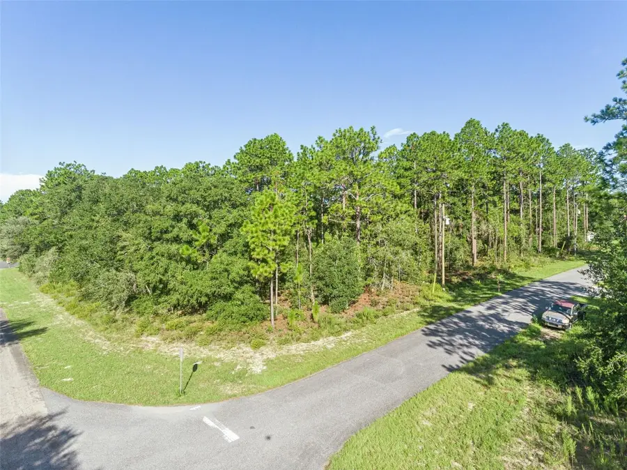 6670 N Nantucket Way, Citrus Springs, FL 34434 - #3