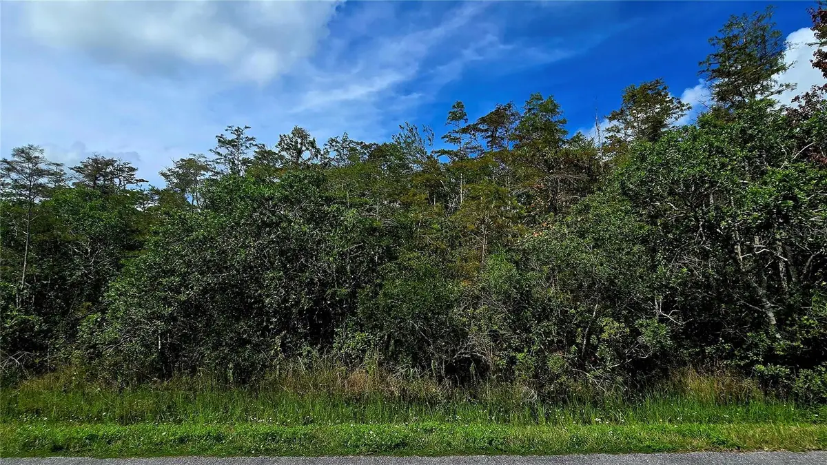 Pierre Avenue #Lot 162, Saint Cloud, FL 34773 - #1