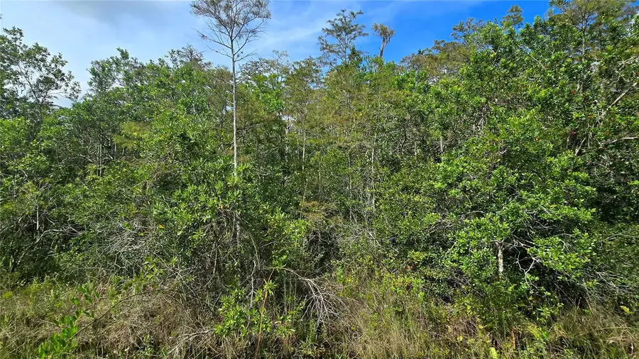 Pierre Avenue #Lot 162, Saint Cloud, FL 34773 - #2