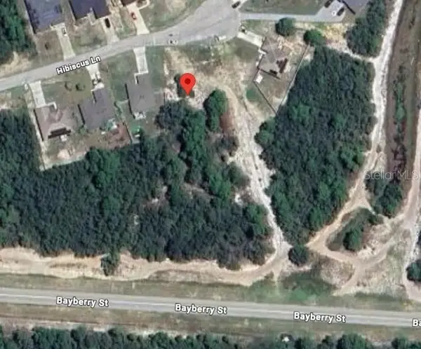 246 Hibiscus Lane, POINCIANA, FL 34759
