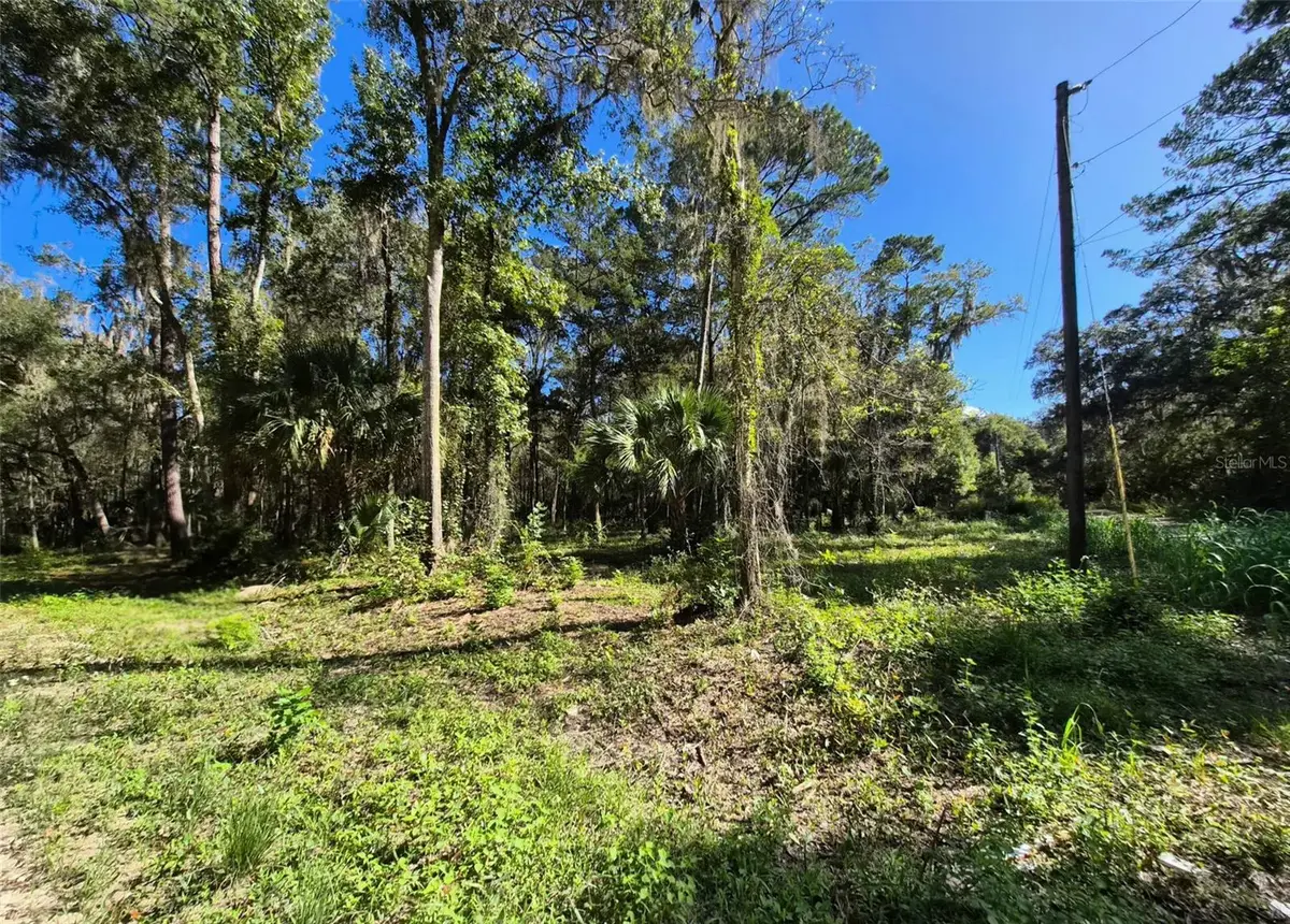 0 SW 16th Place, Ocala, FL 34481 - #1