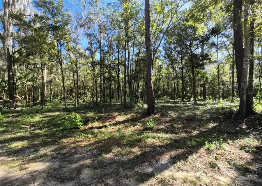 0 SW 16th Place, Ocala, FL 34481 - #3
