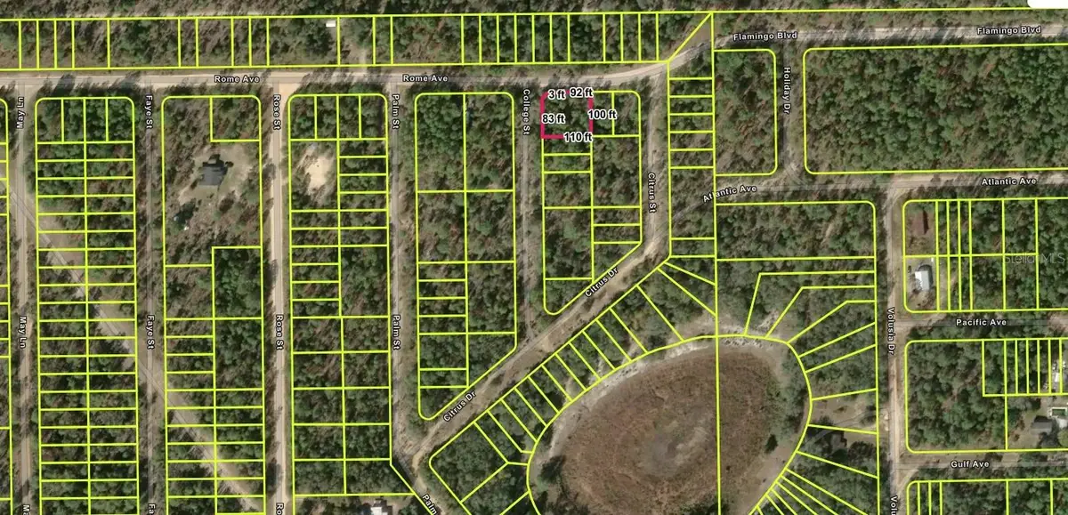113 Rome Avenue, Interlachen, FL 32148 - #1
