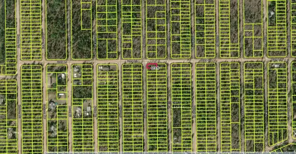 1403 Drew Lane, INTERLACHEN, FL 32148