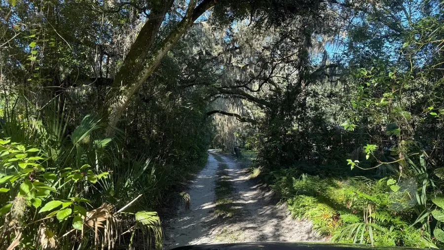 107 1st Street, Crescent City, FL 32112 - #3