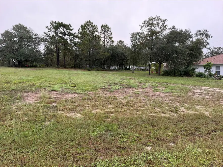 14042 English Sparrow Road, Weeki Wachee, FL 34614 - #2