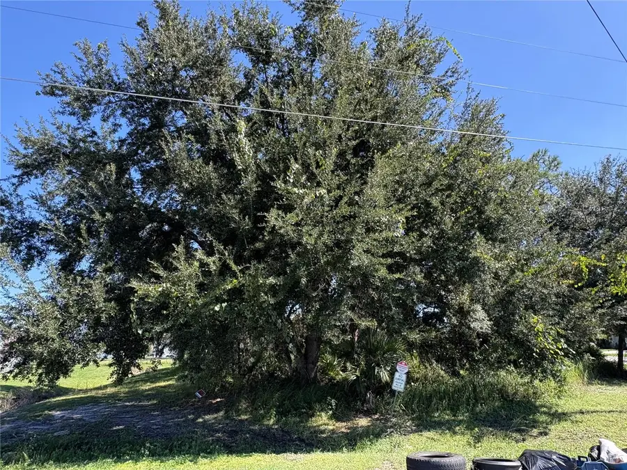 539 Eagle Court #Lot 23, Poinciana, FL 34759 - #2