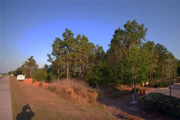 30150 Overpass Road, WESLEY CHAPEL, FL 33545