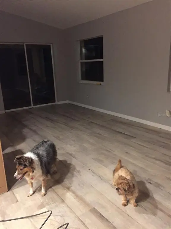 248 51st Street Circle E, Palmetto, FL 34221 - #2