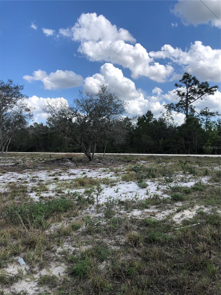 491 Hobbs Drive, VENUS, FL 33960 BHGRE