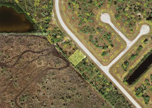 13019 Quail Drive, PLACIDA, FL 33946