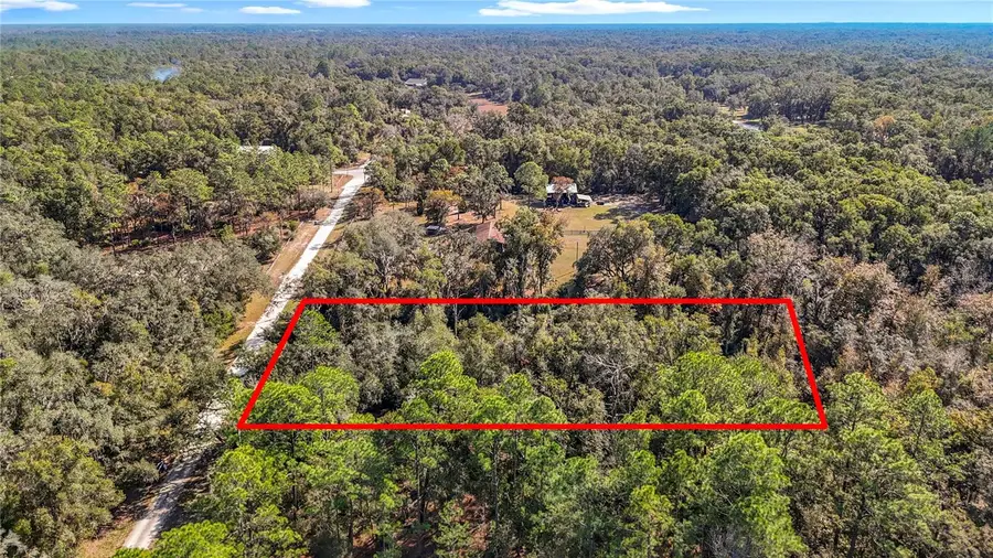 7241 Sonia Avenue, Webster, FL 33597 - Image #2