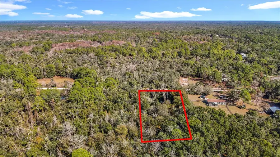 7241 Sonia Avenue, Webster, FL 33597 - Image #3