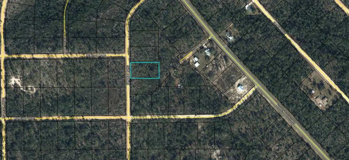 00 Tamarac Rd, Marianna, FL 32448 - Image #1