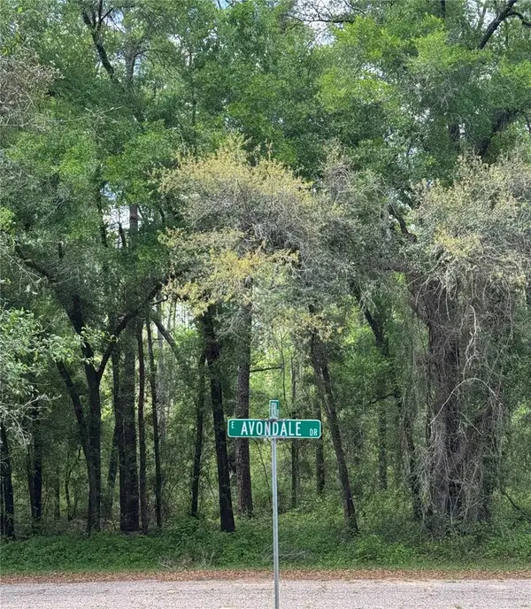 455 E Avondale Drive, DUNNELLON, FL 34434