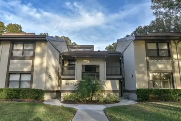 124 Woodlake Wynde, OLDSMAR, FL 34677