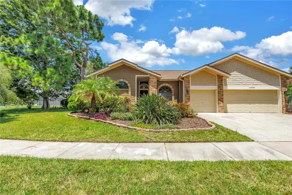 11209 Bloomington Drive, TAMPA, FL 33635